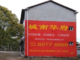 荔浦百分之90的人都不了解的农村墙体广告