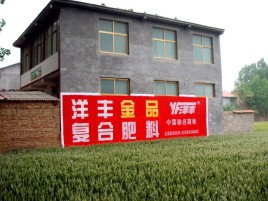 荔浦如何让墙体广告展现最大化效果