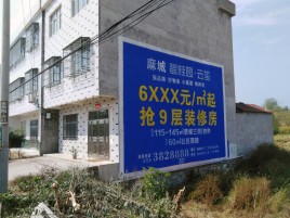 荔浦墙体广告质量分析