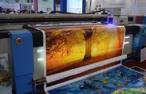 荔浦写真有哪些介质？