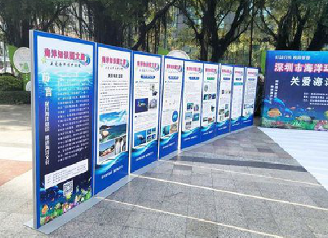 荔浦KT板的种类和知识。